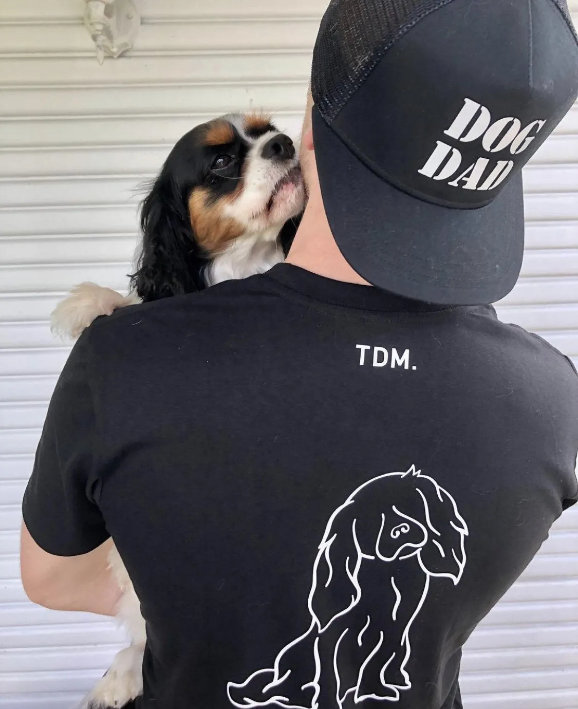 Cavalier King Charles Dad Illustration: T-Shirt