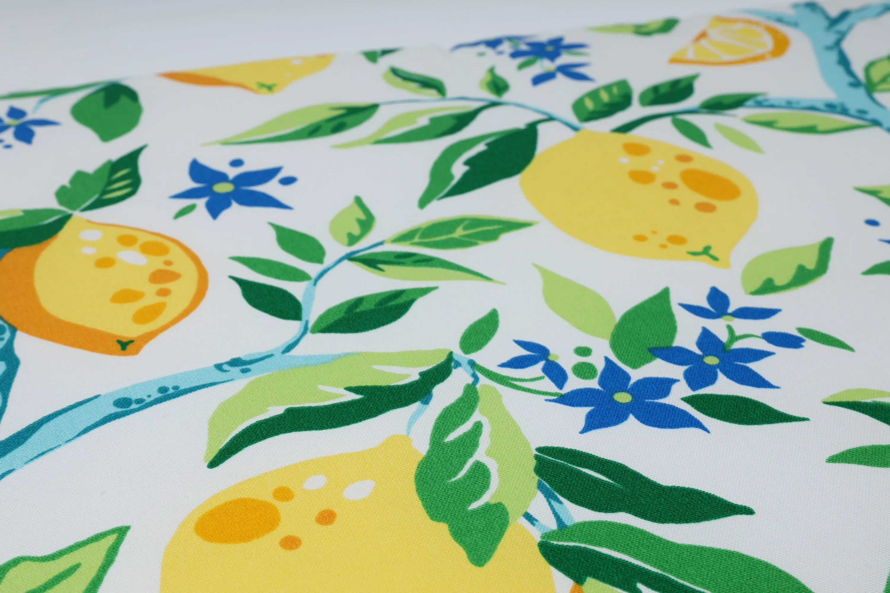 Lemon Tree Yellow 18.5-Inch Throw Pillow (Set Of 2)