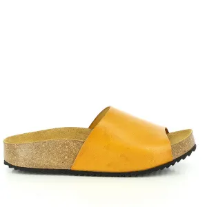 Plakton 343036 Mustard Slides