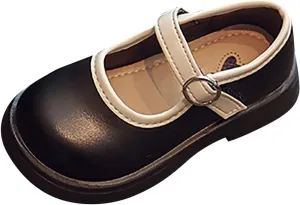 Toddler Girls Mary Jane Dress Shoes Flower Girl Shoes Little Girls School Oxford Flats Dress Shoes for Toddler Girls