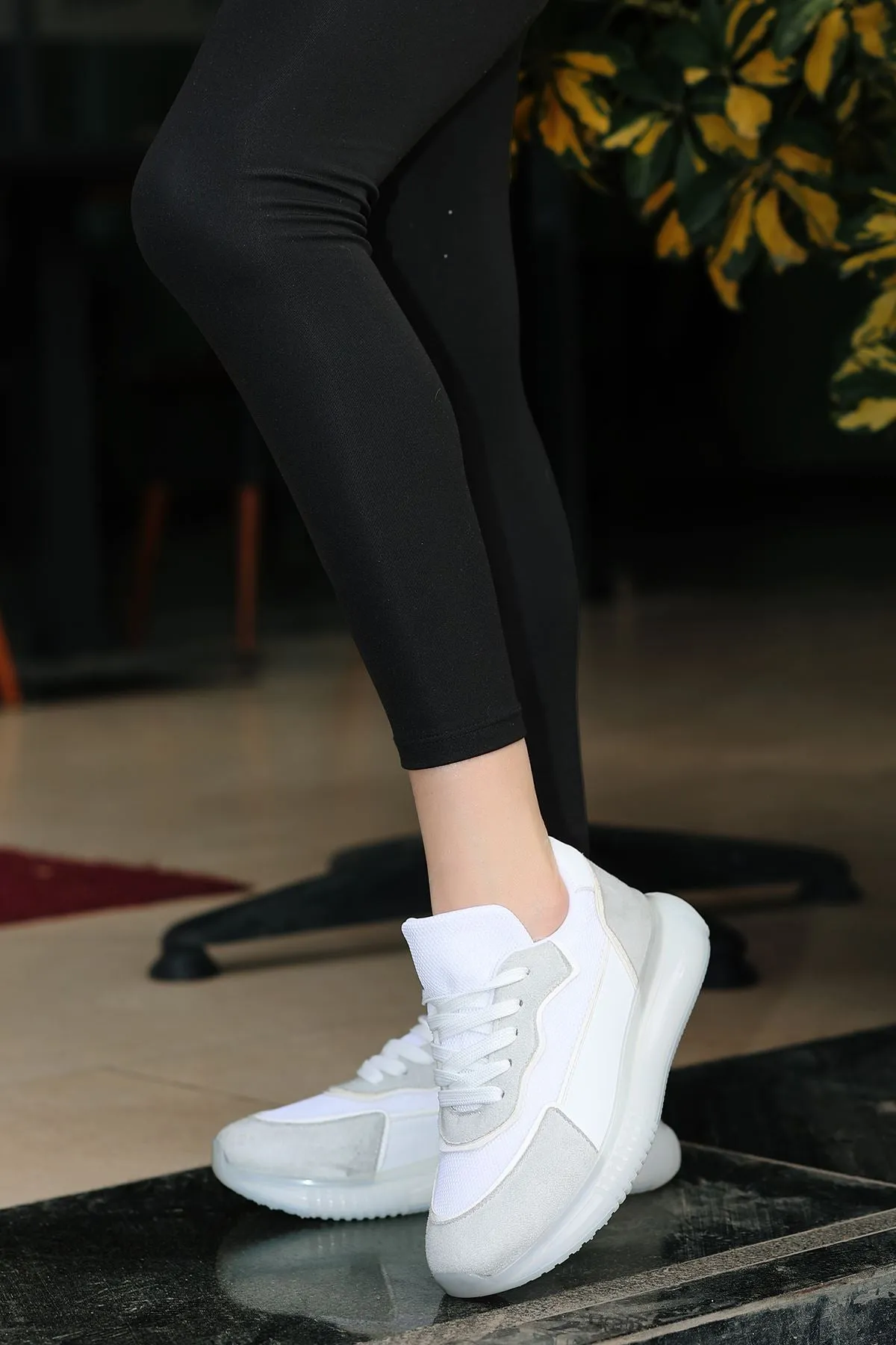 Transparent Base Anarok Sport White